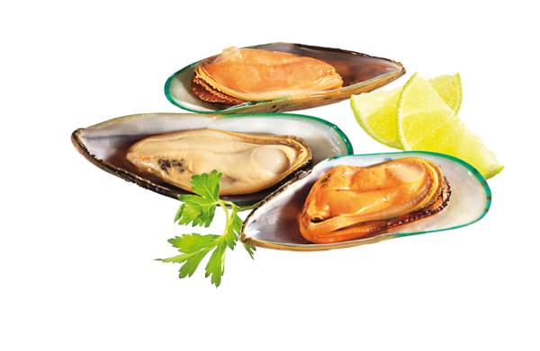 TK Grünschalmuscheln, in der Halbschale, blanchiert, IQF, Neuseeland, 1 KG/PK