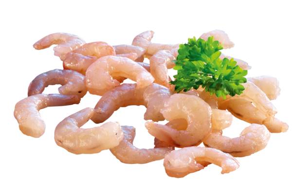 TK Base Culinar Cocktail-Shrimps, geschält, gekocht, IQF, 20% Glasur 200-300 Stück per lb, 1 KG/BT Cocktail-Shrimps, Nettofüllgewicht: 0,8 kg