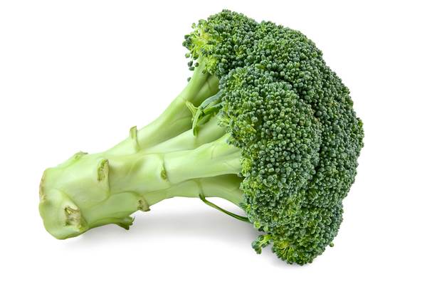 F+V Broccoli 500g 500 G/PK