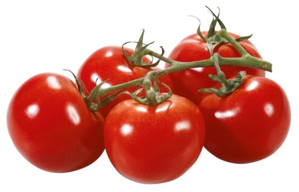O+G Tomaten, Strauchtomaten, 1 KG