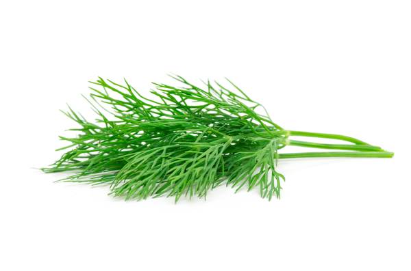 O+G Kräuter, Dill, 200g Bund, 200 G/BD