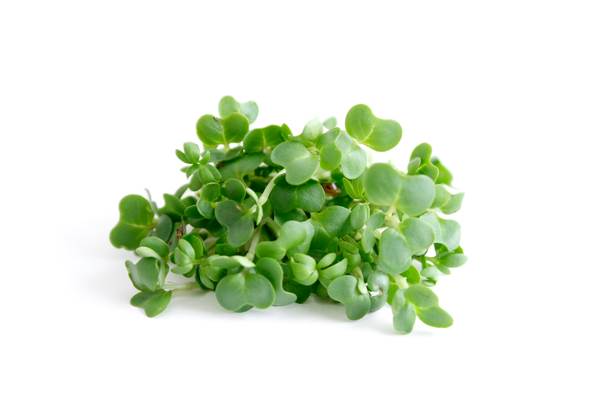 O+G Bio Kräuter, Kresse Schalen, 100 G/SH