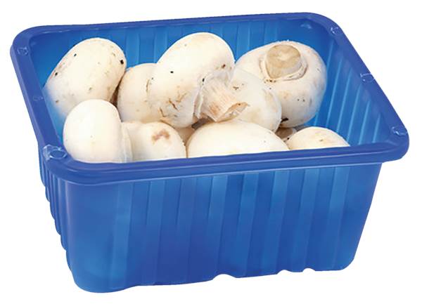 AGF champignons, bakje 250 GR/DS