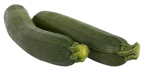 AGF courgette maat 14 1 ST