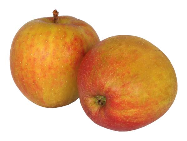 AGF goudreinette appels 1 KG