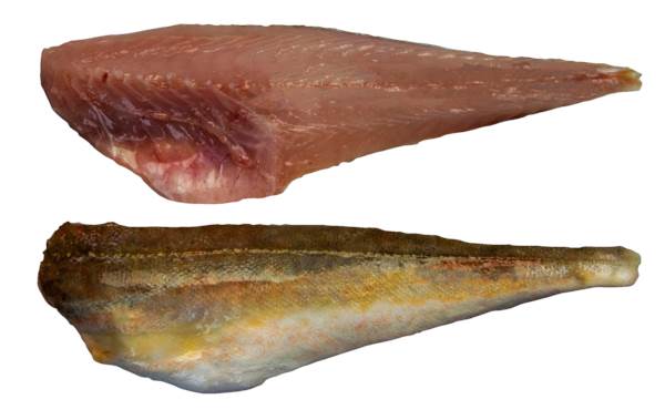 Frisches Rotes Knurrhahnfilet 2, mit Haut, ca.100g, 0,1 KG/ST