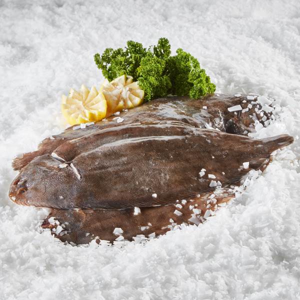 Sea Culinar Seezunge, frisch, ausgenommen, mit Kopf, 400-500g, 1 KG