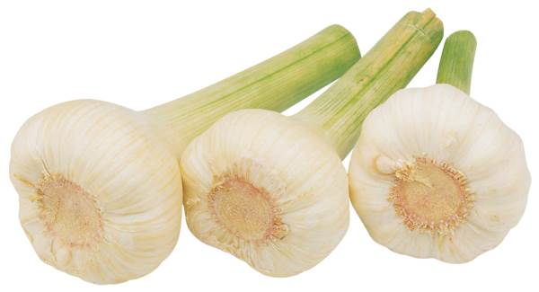 O+G Bio Knoblauch, frisch, 1 KG