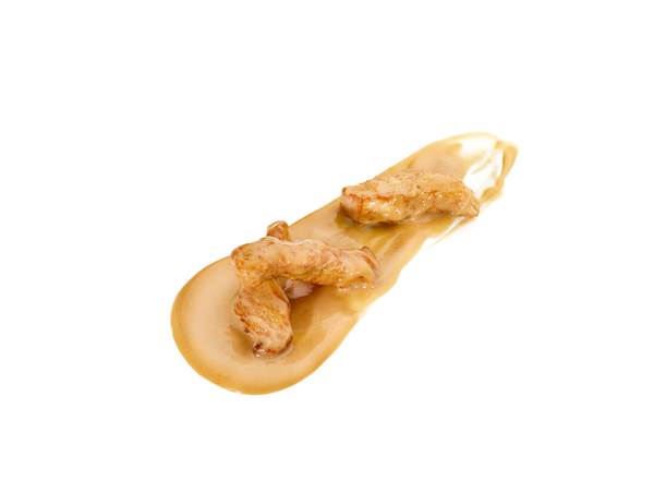 TK Star Culinar Hi Taste Hähnchenstreifen in cremiger Sauce, Fleischeinwaage 40%, 3 KG/BT im Kochbeutel, Portionsvorschlag 250g,