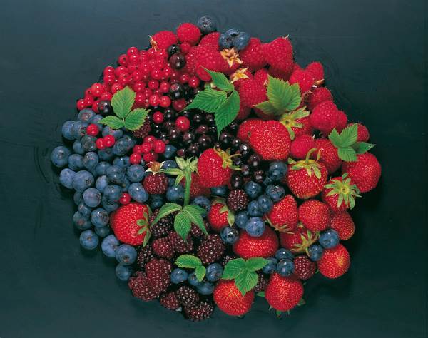 TK Beerenmix Extra, 2,5 KG/BT rote und schwarze Johannisbeeren ...