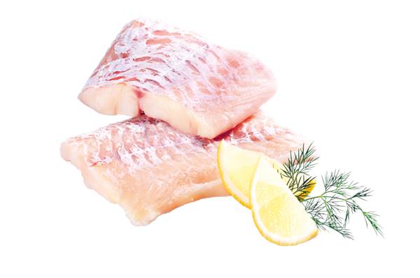 TK Schellfischfilet, Portion, ohne Haut, IQF, 10% Glasur, ca.33 Stück, ca.140-160g, 5 KG/KT Nettofüllgewicht: 4,5kg