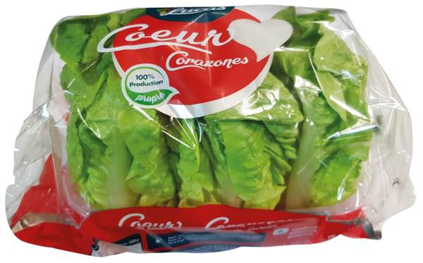 O+G Salat Romana Salatherzen Little Gem, 500 G/PK