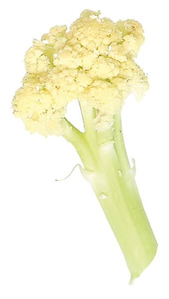 O+G Keltenhof, Wilder Blumenkohl, 1,5 KG/KT
