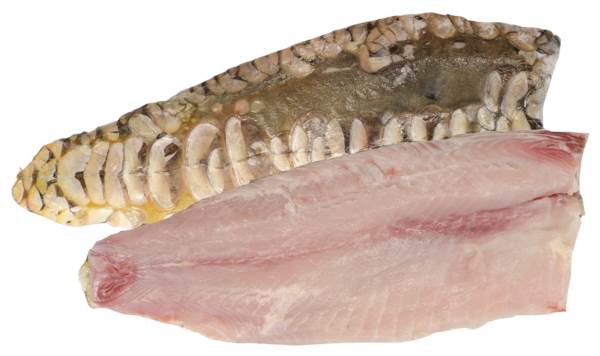 Mr Karp filet ze skórą, 300-500 g, IQF, glazura 20%, 5 KG/KT