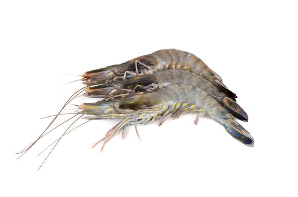 Mr Krewetki tygrysie Black Tiger 4-6, surowe, w skorupie, z głową, 1 KG/PA , IQF, glazura 20%