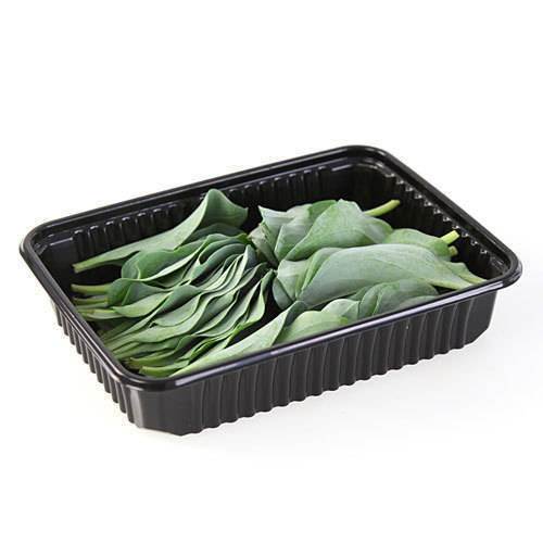 Blade østers/salt (Oyster Leaves) KL1 Holland, 50 stk/50 g