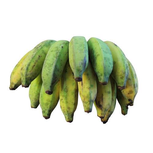 Plantain (madbanan) KL1 Costa Rica, 21 kg