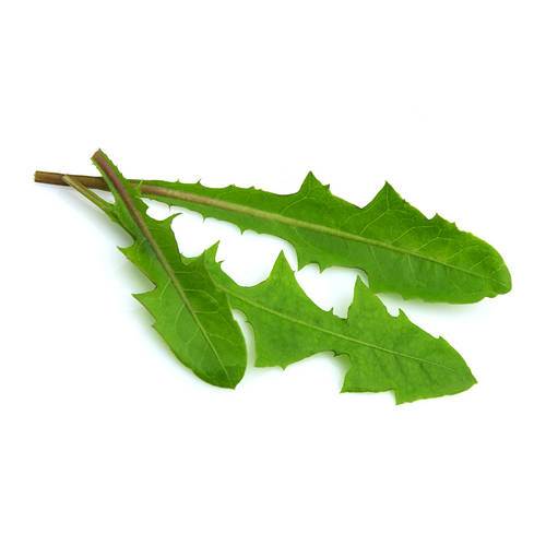 Mælkebøtteblade KL1 Danmark, 75 g