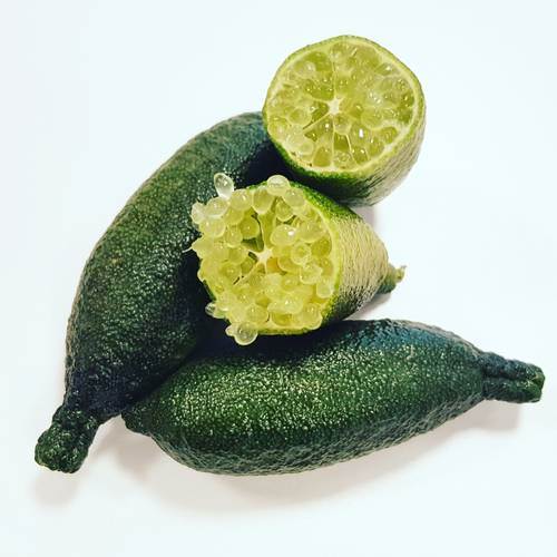 Citrus caviar KL1 Marokko, 100 g