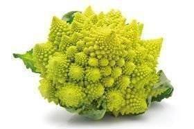 Romanesco kål KL1 Frankrig, stk.