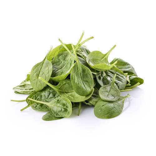 Salat Babyspinat KL1 Italien, 100 g