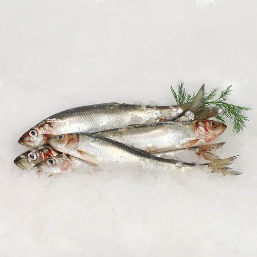 Sild hele, med hoved, urenset, kg