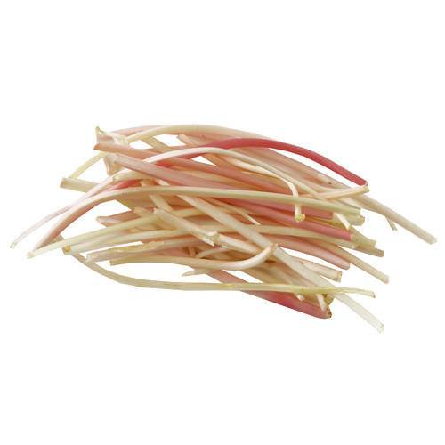 Rabarber Gourmet 4 mm skud KL1 Danmark, 100 g
