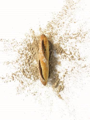 Baguette, Mini, Old grain, Briodor, 50 x 45 g