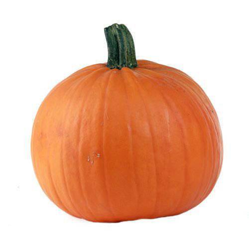 Græskar Halloween 1,8-3 kg Danmark, stk.