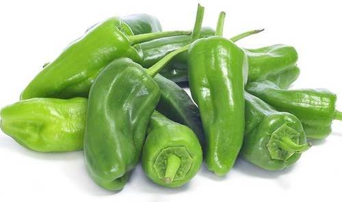 Peber Piemento de Padron KL1 Spanien/Marokko, 2 kg