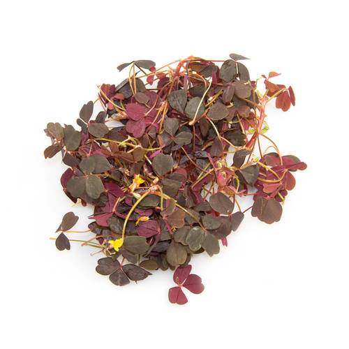 Vulkansk surkløver/Rød skovsyre, 50 g