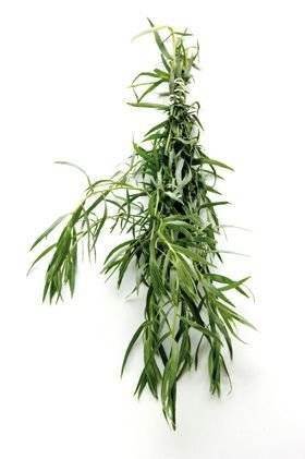 Fransk Estragon KL1 Kenya, 75 g