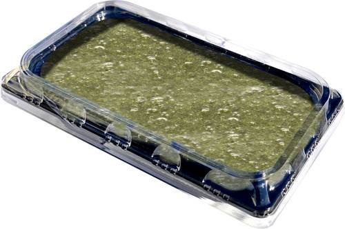 Grön pesto med basilika, 1 kg